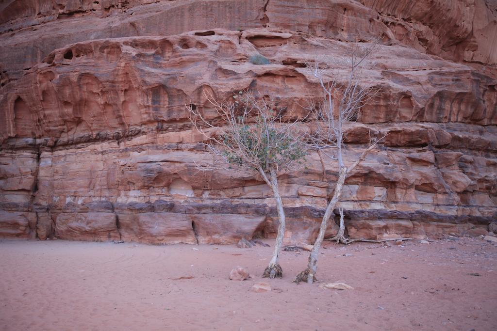 Bedouin Expedition Wadi Rum Exteriör bild