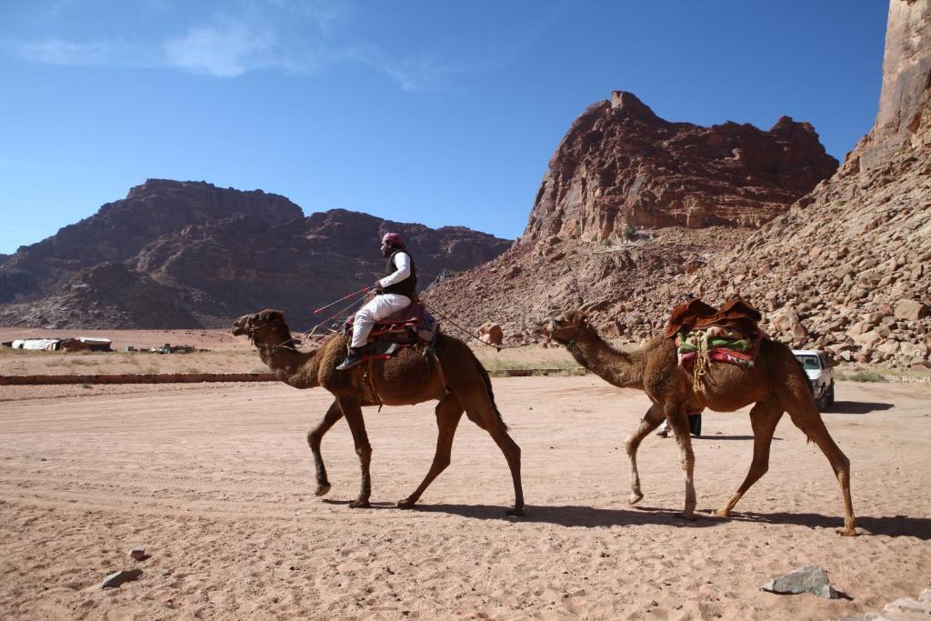 Bedouin Expedition Wadi Rum Exteriör bild