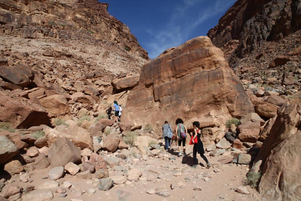Bedouin Expedition Wadi Rum Exteriör bild