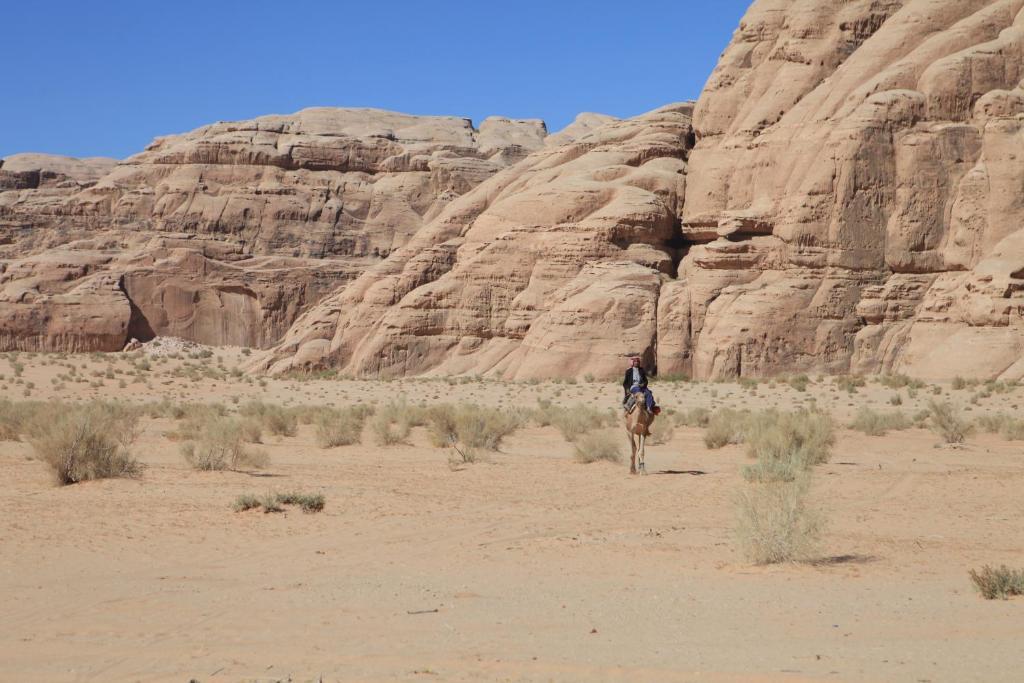 Bedouin Expedition Wadi Rum Exteriör bild