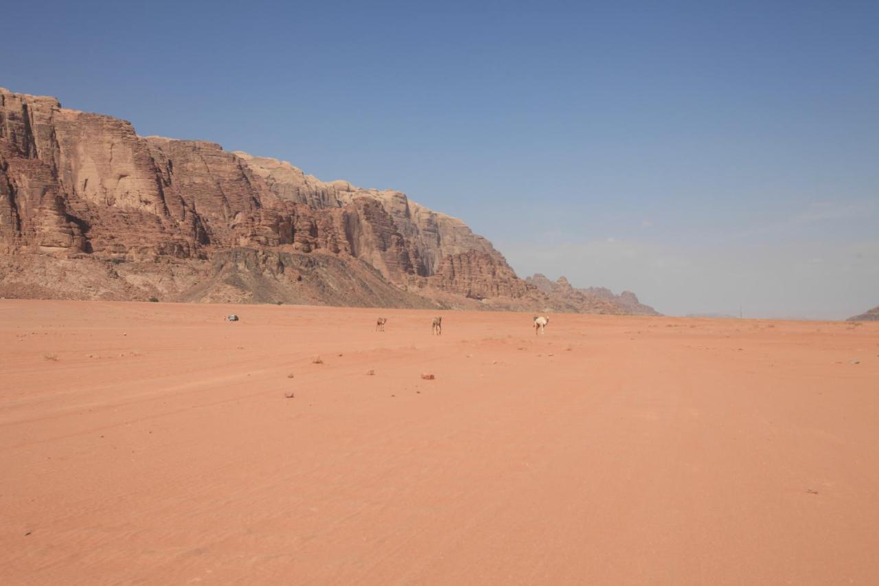 Bedouin Expedition Wadi Rum Exteriör bild